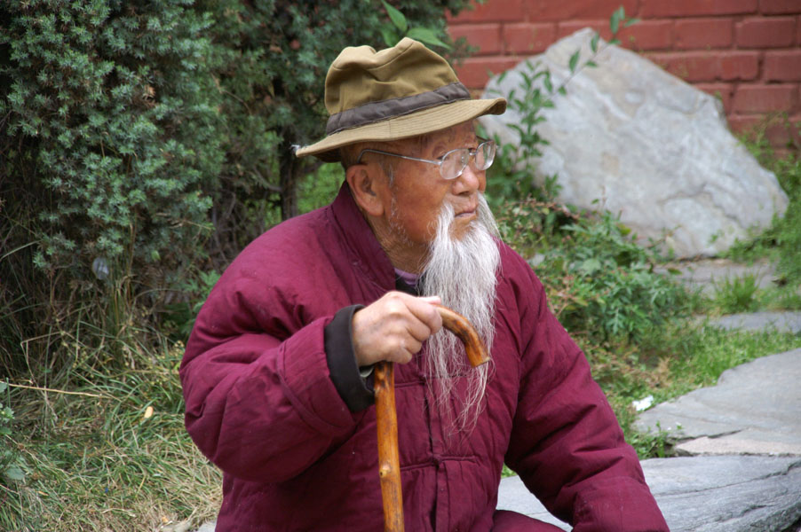549-wutai-chan-portraits