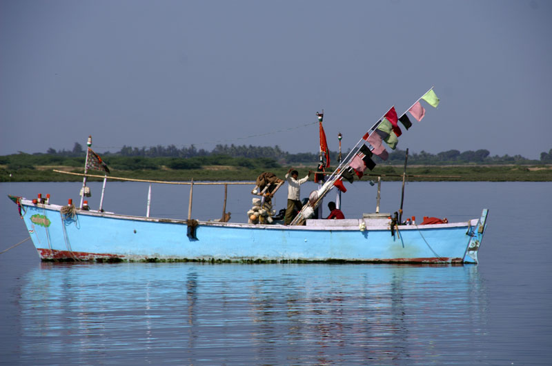 diu-08