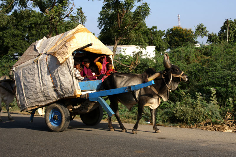 10-bhuj-07