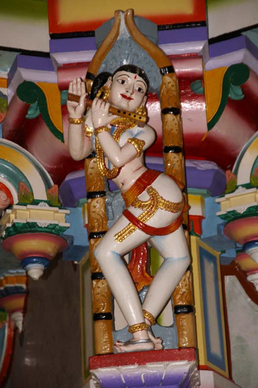 12-mandu19