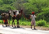 j-agriculture-elevage-03