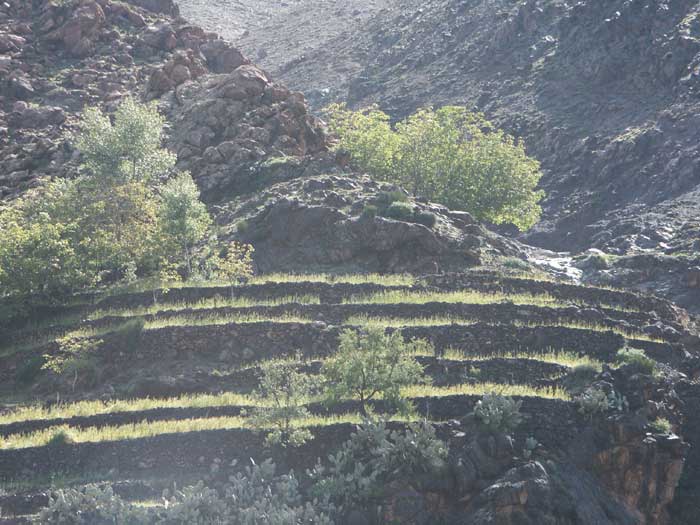 Massif-toubkal-03