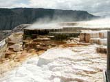 Yellowstone37