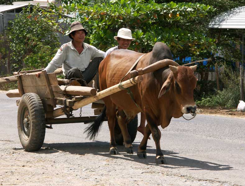 140-Dalat