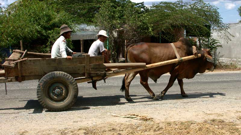 150-Dalat